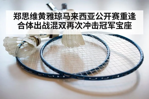 badminton racket shuttlecock